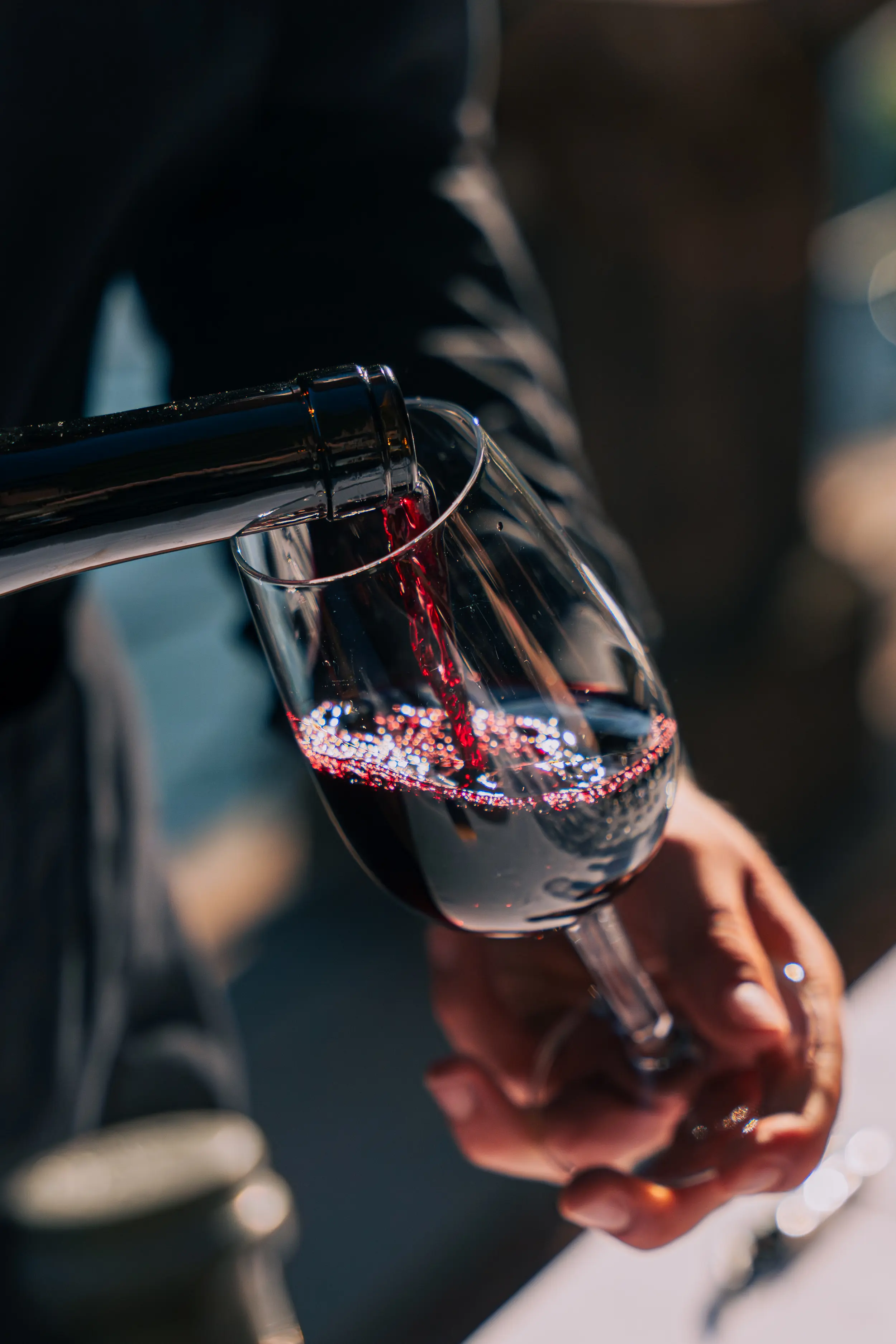 Degustazione vino-cibo